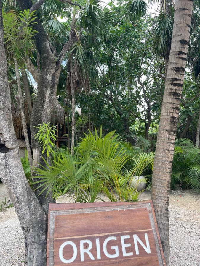Origen Tulum Hotel Luaran gambar